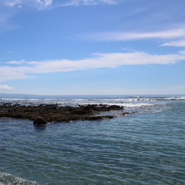 海岸と青空の写真